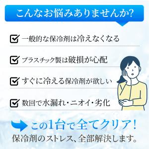 ステンレス保冷剤 2枚セット 長時間冷却 アイ...の詳細画像3