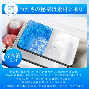 ステンレス保冷剤 2枚セット 長時間冷却 アイ...の詳細画像4