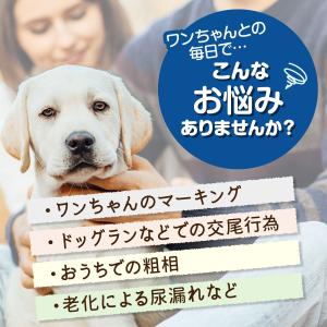 マナーベルト 犬 オス マナーウェア おむつ ...の詳細画像2