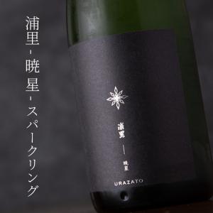 浦里 URAZATO 暁星 あけぼし スパークリング本生 500ml 日本酒 浦里酒造店 茨城県 特約店 【クール便】