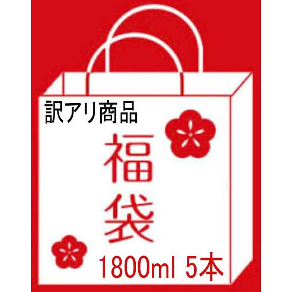 [送料無料] 日本酒 訳あり商品福袋 1800ml 5本入り クール便配送料込み