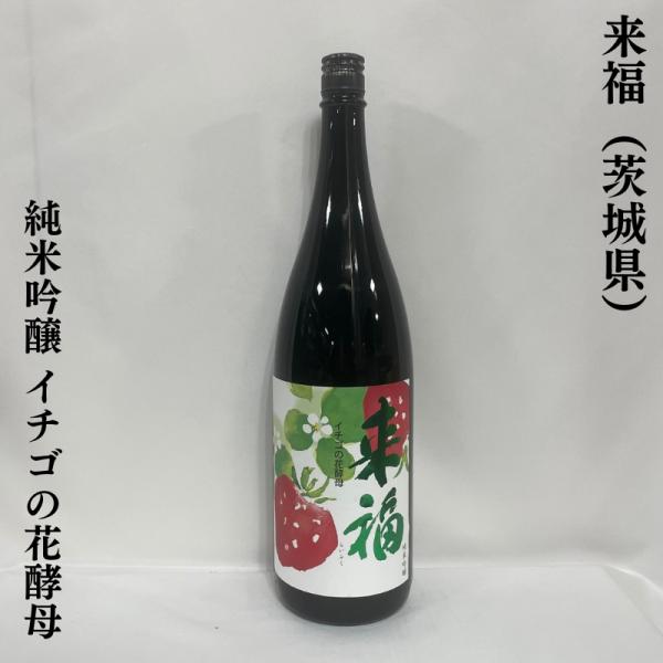 来福 【純米吟醸 イチゴの花酵母】 1800ml 茨城県（来福酒造）