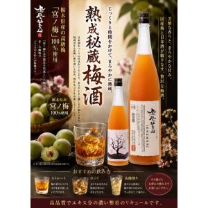 よかいち 本格焼酎 黒よかいち 芋 25度 瓶 900ml 6本セット : 株式会社