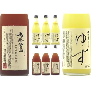 リキュール｜ 天吹龍王 大吟醸梅仕込梅酒 500ml 化粧箱入り あまぶき