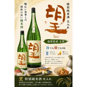 ≪　ナチュラルな米の旨み!キレの良い酒!　≫　望 特別純米酒 玉栄 瓶燗火入れ　1800ml　*商品説明を必ず見てください
