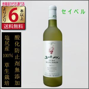 十兵衛様　新春セール❣️10%OFF新品　ワイエルジョイ 15ml 　２本セット 晴耕雨読 XX だぶるえっくす ジョイホワイト 芋焼酎 25度 1800ml