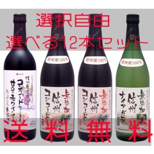 イレンカ ピノノワール 2024 赤 750ml イレンカヴィンヤード : 銘醸