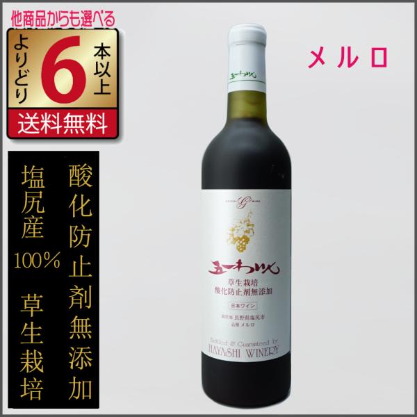 五一ワイン 無添加ワイン 赤 草生栽培 メルロー 720ml 長野県 国産ワイン 赤ワイン