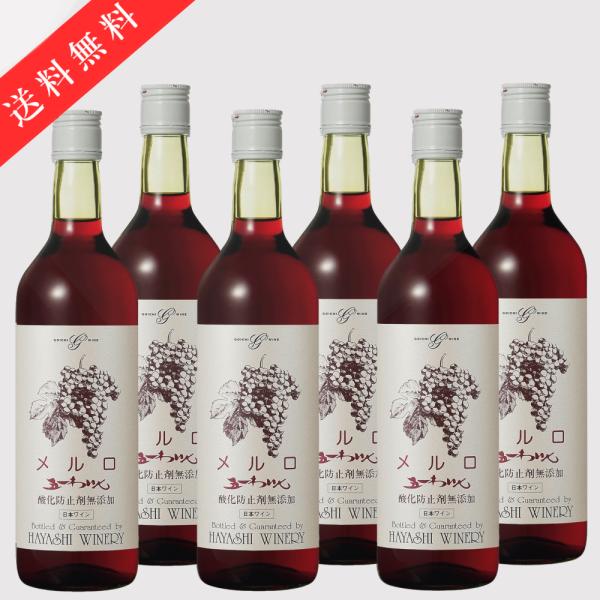 五一わいん 酸化防止剤無添加 赤 メルロ 赤 720ml 6本 長野県 国産ワイン 無添加ワイン