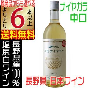 井筒ワイン 新酒 2025 無添加 ナイアガラ 辛口 720ml 白ワイン 国産
