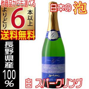 信濃ワイン 新酒 2025 無添加 秋薫る ナイアガラ やや甘口 720ml 白