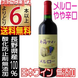 山辺ワイン 新酒 2025 デラウェア 甘口 720ml 白ワイン 長野県 日本