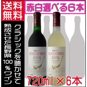 信濃ワイン 赤ワイン 白ワイン 葡萄交響曲 720ml 選べる6本 1ケース 長野県 国産ワイン 送料無料｜jizakenakamura