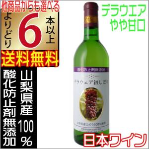 蒼龍葡萄酒 新酒 2022 酸化防止剤無添加 白ワイン デラウェア 初しぼり 720ml 山梨県 日本ワイン 6本以上