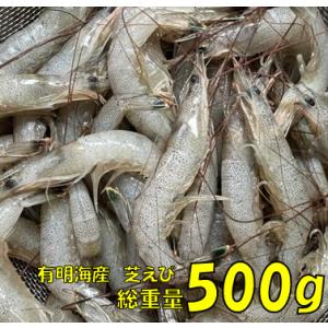 福岡県有明海産　天然 芝えび５００ｇ｜jjfp2013