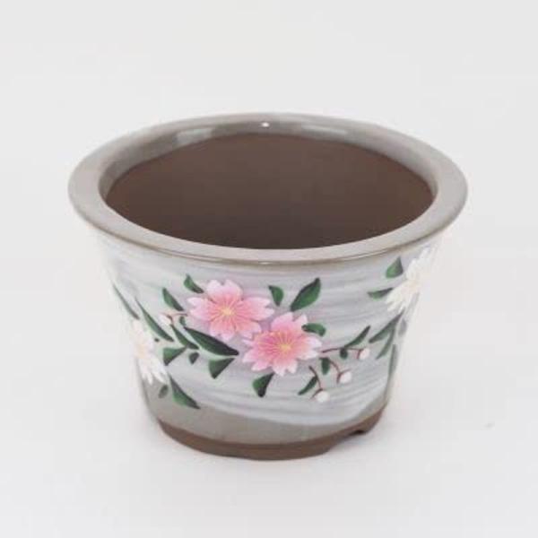 盆栽 盆栽妙 九谷焼 手書き桜 4号 幅12.5cm×高さ7.8cm 鉢