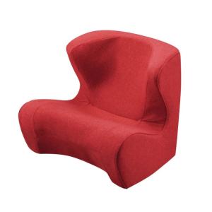 スタイル ドクターチェア(Style Dr.CHAIR) MTG(エムティージー) メーカー純正品 姿勢矯正 骨盤サポートチェア 座椅子 (｜jjhouse