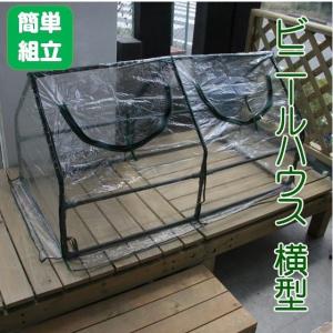 訳あり商品 温室ビニールハウス 横型 プランター フラワーラック ウィルマート