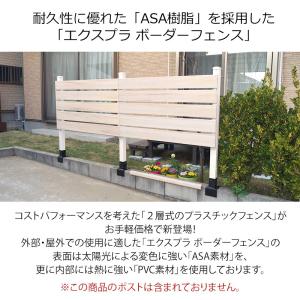 【最終処分特価】 エクスプラ ボーダー フェン...の詳細画像1