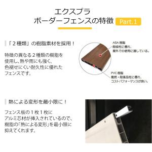 【最終処分特価】 エクスプラ ボーダー フェン...の詳細画像2