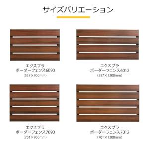【最終処分特価】 エクスプラ ボーダー フェン...の詳細画像5