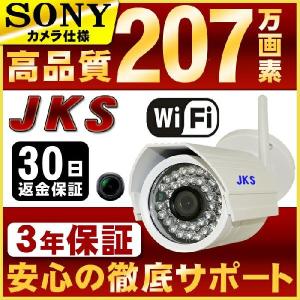 屋外用 センサーライト付 防犯カメラ ダイビー ビームアイ GS-SLC01