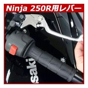 XRT ドゥカティ MONSTER 1200/S/R M1100/S/EVO ブレーキレバー+