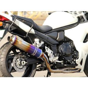 AKRAPOVIC（アクラポビッチ） 直送品 レーシングライン チタニウム
