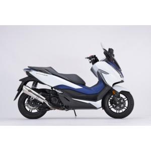 BMW R1250RS用　アールズギア　チタンドラックブルーマフラー BMW R1250RS用 アールズギア チタンドラックブルーマフラー