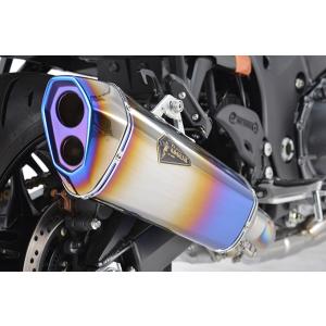 AKRAPOVIC（アクラポビッチ） 直送品 アールズギア リアルスペック