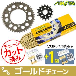 早い者勝ち　値下げ　ストライダープロ ゴールド＆メッキ2台セット　愛知　引取限定 サンスター チェーン＆スプロケット 3点セット ホンダ CRF1000L AFRICA