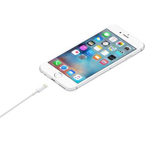 【APPLE純正】Lightning - US...の詳細画像1