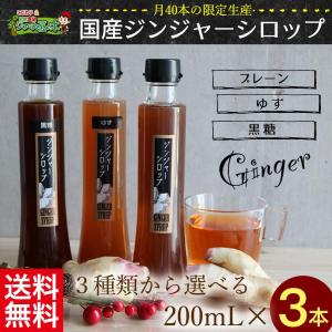 特別価格 2023 夏 ギフト 生姜シロップ ジュース 送料無料 限定生産  ジンジャーシロップ 200ml×3本箱入りセットプレゼント