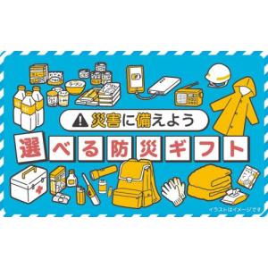 伊藤忠食品選べるギフトカード　選べる防災ギフトカード3000円