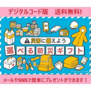 伊藤忠食品選べるギフトカード　選べる防災ギフトカード3000円（デジタルコード販売）※コード通知のみ　送料無料
