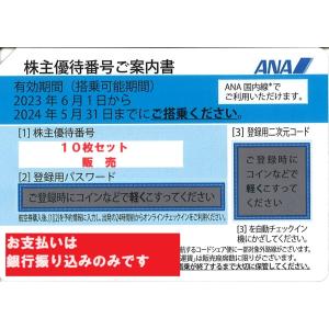 ANA（全日空）青　株主優待券　番号通知可　10枚セット　有効期限2024年5月31日ご搭乗分まで　