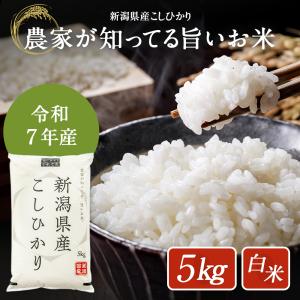 米 5kg 新潟県産 こしひかり 令和7年度産  お米 5キロ  白米 精米 産地直送  送料無料 コシヒカリ