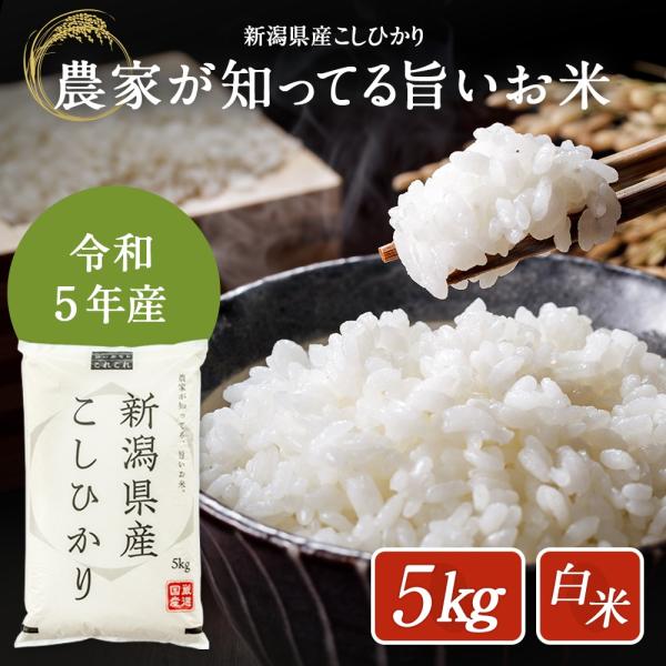 米 5kg 新潟県産 こしひかり 令和5年度産  お米 5キロ  白米 精米 産地直送  送料無料 ...