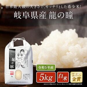 米 5kg 岐阜県産 いのちの壱 龍の瞳 令和5年度産  お米 5キロ  白米 精米 送料無料 りゅうのひとみ｜jn-mall