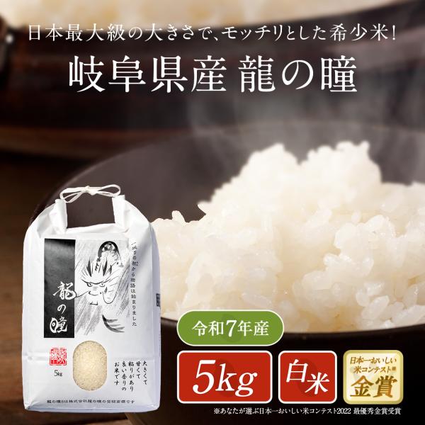 新米 米 5kg 岐阜県産 いのちの壱 龍の瞳 令和7年度産  お米 5キロ  白米 精米 送料無料...