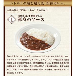 レトルトカレー 松蔵 ふらんす亭 伝説の ビー...の詳細画像4