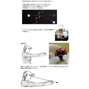 広田 ゴルフ アイチェックプロ EYE CHE...の詳細画像3