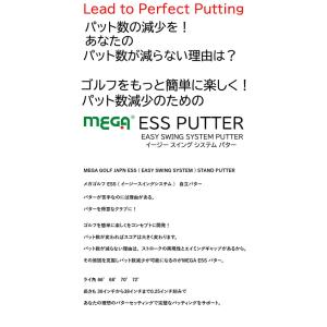 【2025年モデル】広田ゴルフ メガ ESS ...の詳細画像1