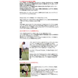 【2025年モデル】広田ゴルフ メガ ESS ...の詳細画像2