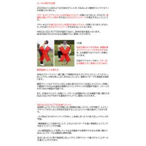 【2025年モデル】広田ゴルフ メガ ESS ...の詳細画像3