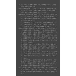 テクノクラフト ゴルフ ウォッチ TECRA ...の詳細画像3