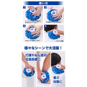 ダイヤ ゴルフ 保冷持続 アイスバッグ L A...の詳細画像5
