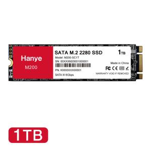 ポイント5倍 Hanye SSD 1TB 内蔵 SATA M.2 2280 SATA III 6.0Gb/s 550MB/s 3D NAND採用 M200 正規代理店品 国内3年保証・翌日配達 送料無料｜jnh