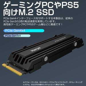 Hanye 1TB 3D NAND NVMe ...の詳細画像2
