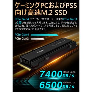 Raver NVMe SSD 1TB 3D N...の詳細画像2